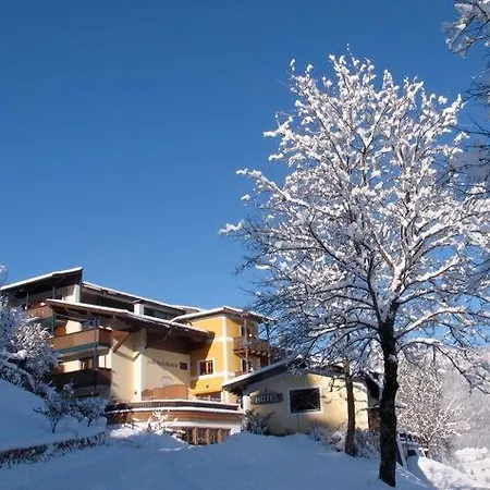 Hotel-gasthof Zur Schoenen Aussicht 3*